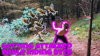 Getting ATTACKED At Dyfi!?
