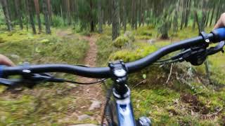 Mulle DH - Banshee Paradox v3, 'shaken not stired'