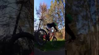 EPIC MTB FLOW TRAIL FOLLOW CAM!!! #shorts #mtb...