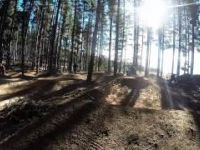 Majura Pines Dirt Jumps