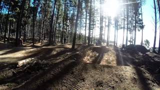Majura Pines Dirt Jumps