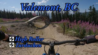 Best Mountain Biking in Valemont, BC - High...