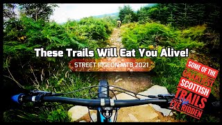 These trails will eat you alive! | Pitfichie...