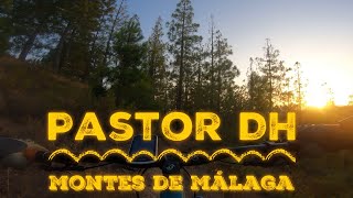 ‍♀️ Pastor DH  | Montes de Málaga |...
