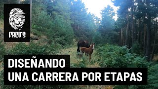 Diseñando una carrera por etapas en México -...