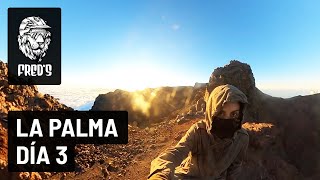 Enduro en Isla de La Palma con FlowTrails,...