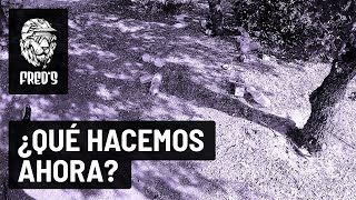 ¿Falta de identidad, educación o resultado...