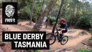 Blue Derby - Tasmania