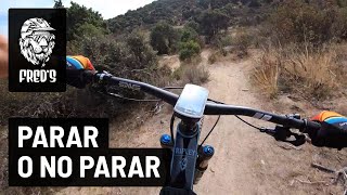 Parar o no Parar