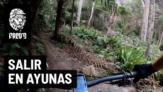 Salir en ayunas - Desde Tasmania