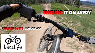 Full Run on Black Diamond Downhill Trail Avery...
