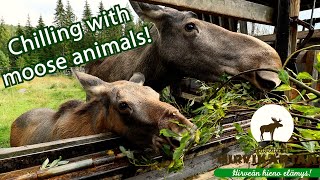 Tasty food and good times with Moose!