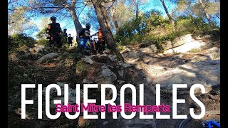 FIGUEROLLES/SAINT MITRE LES REMPARTS/FREEWHEEL