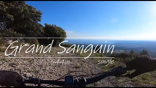 Grand Sanguin