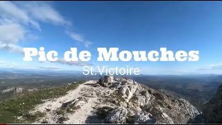 Pic de Mouches (st.Victoire)