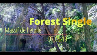Forest Single ( Massif de l’étoile) le 07.05.19