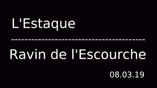 l'Estaque-Ravin de l'Escourche le 08.03.19