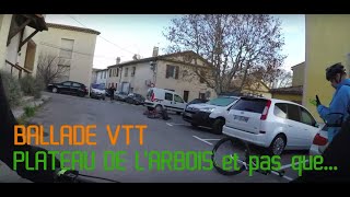 BALLADE VTT PLATEAU DE L'ARBOIS et pas...