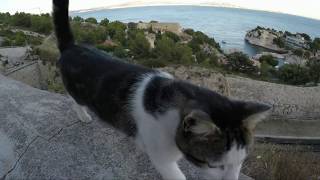COTE BLEUE en VTT Fort Niolon Calanque du...