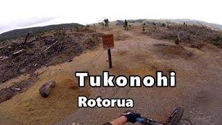 Tukonohi, Redwoods, Rotorua
