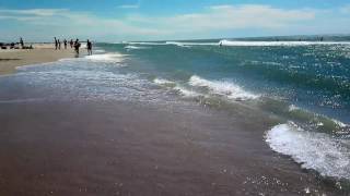 Plage piemonson  salin de Giraud Camargue