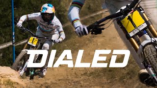 DIALED S3-EP34: Myriam Nicole maintains...