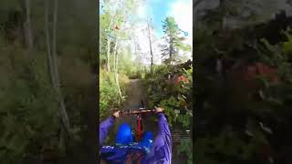 The Secret Trail