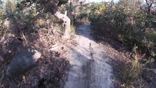 POV: Edward black trail, edward