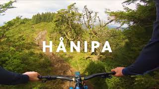 Hånipa