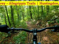 Osprey - Allegrippis Trails | Huntingdon, PA