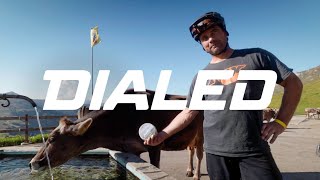 DIALED S3-EP35: Saying our goodbyes in...