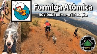 NOVIDADE: Formiga Atômica, Mais de 2km de...