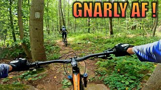 Birdsboro Preserve PA Mountain Biking Trails