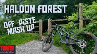 Haldon forest cycle discount trails