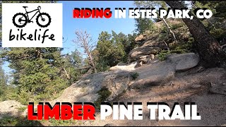 Limber Pine Mountain Bike Trail - Estes Park...