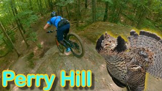 This Trail Center has it ALL! | Rocks, Roots,...