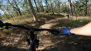 Sergeants | Mt Joyce | RAW WEDNESDAYS