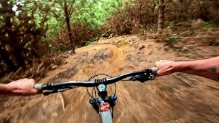 Down the Guts @ Whakarewarewa Forest. Rotorua