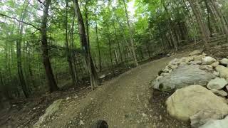 Hemlock Hollow