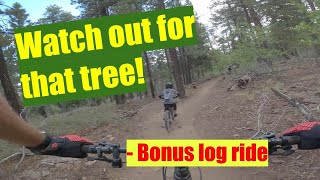 Fall Line MTB Trail | Big Bear CA 2021