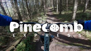 Albion Hills Pinecomb Express Trail |...