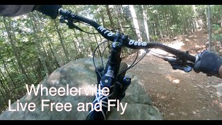 Live Free n Fly - Fast, Loose, Loamy Fun!!