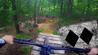 Red Bull built this mountain bike trail!