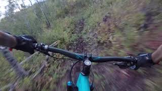 My favorite MTB trail: Steep T September 2021
