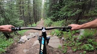 Wheeler Trail Summit County, Colorado