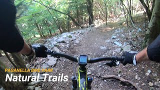 Natural Trails, Paganella Bike Park, 11-09-2021