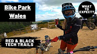 Bike Park Wales Red & Black MTB Trails |...