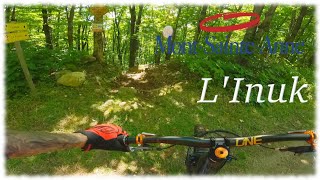 Les fameuses doubles losanges du secteur DH au MSA