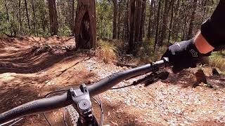 Tewantin MTB - Snake (14 Sep 2021)