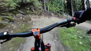 Road Runner ️ - Kicking Horse Mountain Resort
